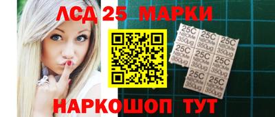 гидропоника Будённовск