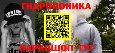 гидропоника Будённовск