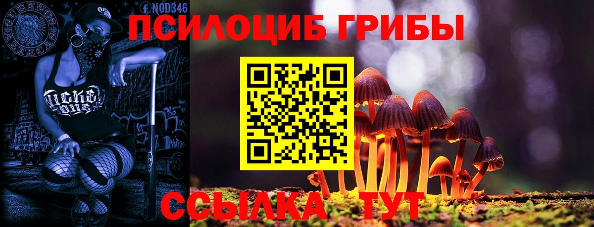 Псилоцибиновые грибы MAGIC MUSHROOMS Коряжма